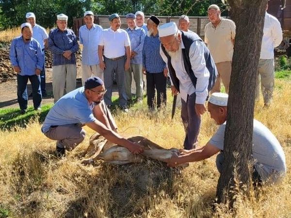 Қордайлықтар тасаттық беріп жатыр