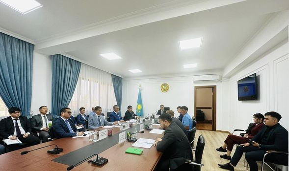 Инвесторлардың проблемалық мәселелері бойынша сараптамалық кеңес