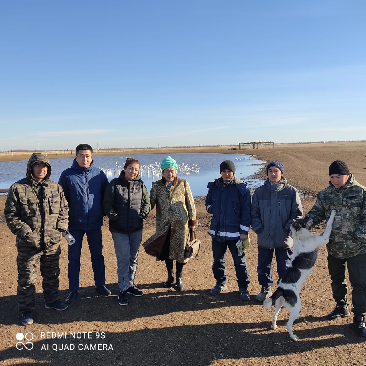 Теректідегі толайым істер