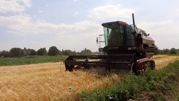 ЕГІН ЖИНАУ НАУҚАНЫ АЯҚТАЛУҒА ЖАҚЫН    
