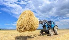 МАЛ АЗЫҒЫН ДАЙЫНДАУ – ЖАУАПТЫ НАУҚАН  