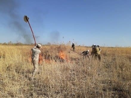 Биылғы жылы ауданның орман қоры жерінде өрт оқиғасы орын алмаған