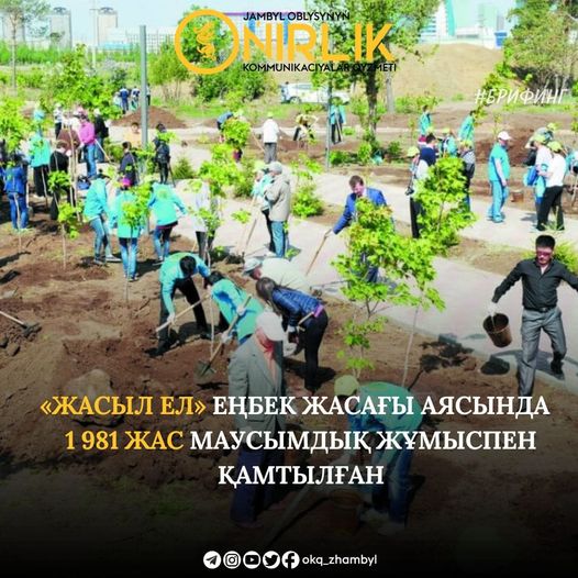  «Жасыл ел» еңбек жасағы аясында 1 981 жас маусымдық жұмыспен қамтылған.