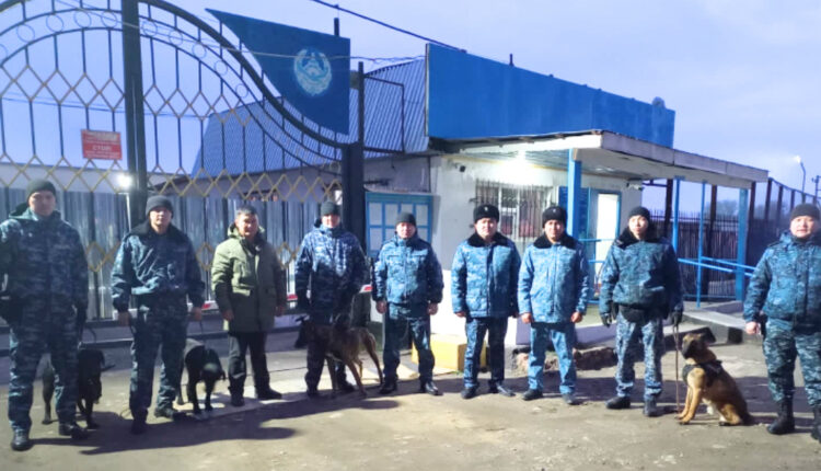 Тінту жұмыстары жүргізілді