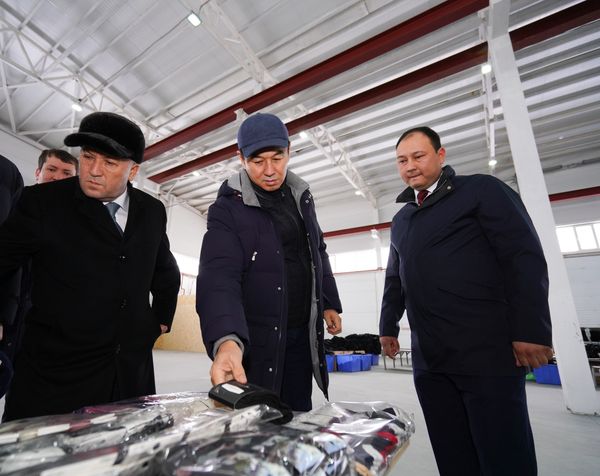ТҮРКІСТАНДА ШҰЛЫҚ ШЫҒАРАТЫН КӘСІПОРЫН ІСКЕ ҚОСЫЛДЫ