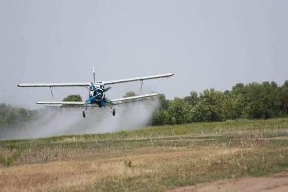 КЕЛЕСТЕ МАРОККО ШЕГІРТКЕСІНЕ ҚАРСЫ КҮРЕС ЖҰМЫСТАРЫ ПЫСЫҚТАЛДЫ