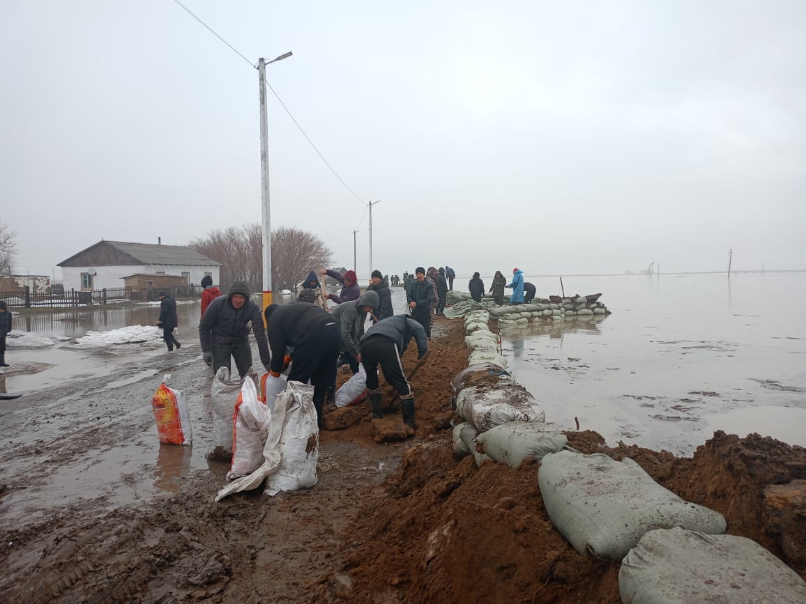 Жастар ресурстық орталықтарының еріктілері су тасқыны жағдайын жоюға қосылды