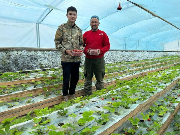 ЖАМБЫЛДЫҚТАР БАНАН МЕН ЛИМОН ӨСІРУДІ ҚОЛҒА АЛДЫ