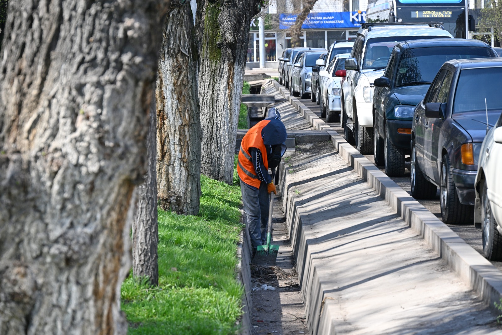 *Көктемгі өзгеріс: алматылықтарды қалада бірлесе тәртіп орнатуға атсалысуға шақырады*