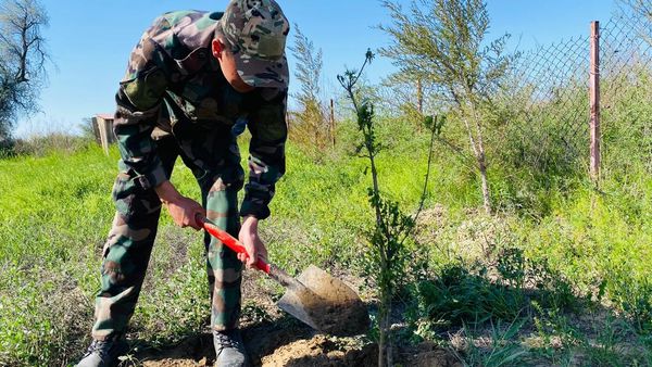 «КИЕЛІ МЕКЕН»: ОТЫРАРДА ЭКОАКЦИЯ АЯСЫНДА СЕНБІЛІК ӨТІП, 300-ГЕ ЖУЫҚ ӘРТҮРЛІ АҒАШ ЕГІЛДІ