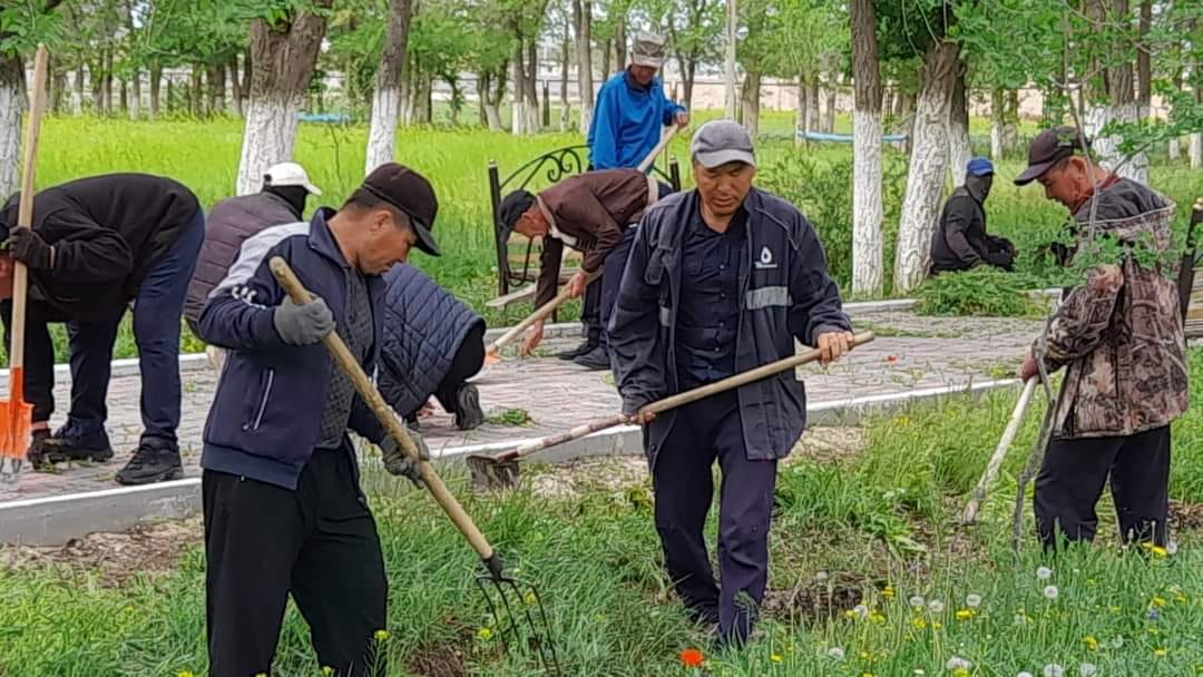 ЖАЙЫЛМАЛЫҚТАР «ЖАСЫЛ АЙМАҚ» АПТАЛЫҒЫНА БЕЛСЕНЕ АТ САЛЫСУДА