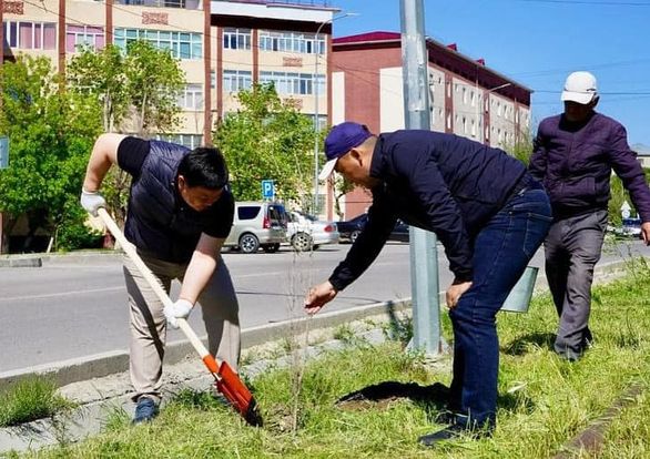 «ТАЗА ҚАЗАҚСТАН»: КЕНТАУДА 25 МЫҢ РАУШАН ГҮЛІ ЕГІЛІП, 8500 ТАЛ КӨШЕТТЕРІН ОТЫРҒЫЗДЫ