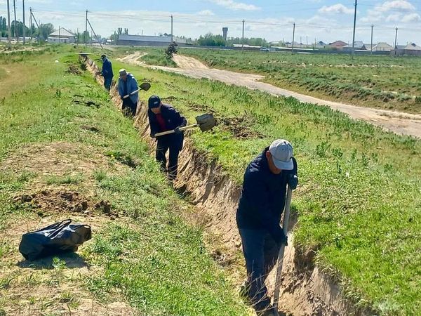 СОЗАҚТА “ЖАСЫЛ АЙМАҚ” АПТАЛЫҒЫНДА ЕГІЛГЕН ТАЛ КӨШЕТТЕРІНІҢ САНЫ 27500-ГЕ ЖЕТТІ