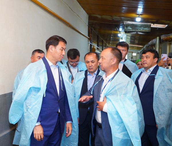 ТҮРКІСТАН: САРЫАҒАШТА КӘСІПКЕРЛІК ДАМЫП КЕЛЕДІ