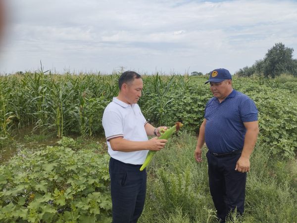 ЕГІН ЕКСЕҢ ЕРІНБЕЙ...