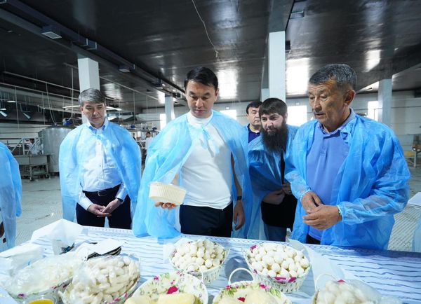 САЙРАМДАҒЫ СҮТ ЖӘНЕ ЖЕМІС, КӨКӨНІС ӨҢДЕЙТІН КӘСІПОРЫНДАР ЗАМАНАУИ ҚҰРЫЛҒЫЛАРМЕН ҚАМТЫЛУДА