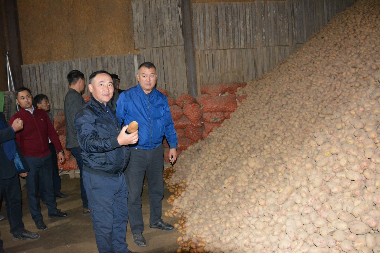 Картоп өсірудің қыр-сырына үңілдік