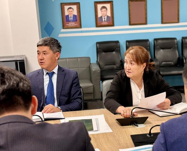 ИНВЕСТИЦИЯЛЫҚ ЖОБАЛАРДЫ УАҚТЫЛЫ ӘРІ САПАЛЫ ЖҮЗЕГЕ АСЫРУ ЖОЛДАРЫ ПЫСЫҚТАЛДЫ