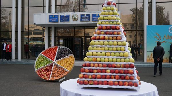 КЕЛЕСТЕ «АЛТЫН КҮЗ - 2024» МЕРЕКЕСІНЕ АРНАЛҒАН ЖӘРМЕҢКЕ ӨТТІ