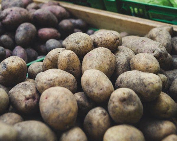 ТҮРКІСТАН ОБЛЫСЫНДА КАРТОП ЭКСПОРТЫНА ҚОЙЫЛҒАН ШЕКТЕУГЕ БАЙЛАНЫСТЫ ШЕКАРА БЕКЕТТЕРІНДЕ БАҚЫЛАУ КҮШЕЙТІЛДІ