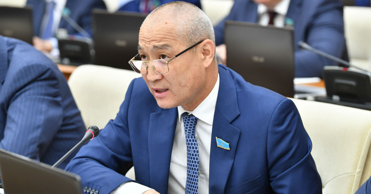 Ішкі саясатқа сыртқы күштерді араластырмау керек - депутат