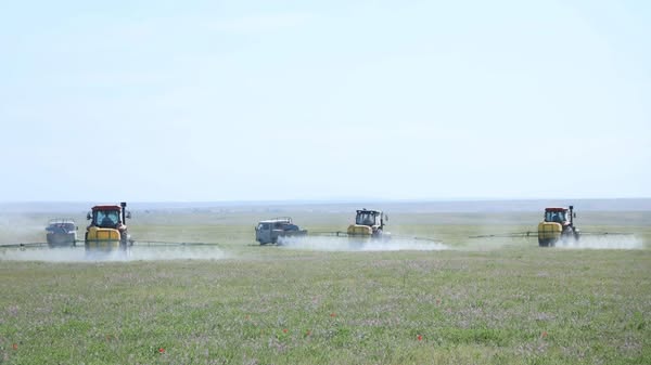 АРЫСТА МАРОККО ШЕГІРТКЕСІНЕ ҚАРСЫ КҮРЕС ҚЫЗУ ЖҮРІП ЖАТЫР
