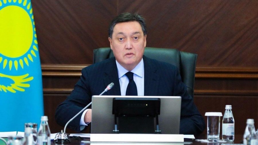 Үкімет басшысы бағаны тежеуді тапсырды