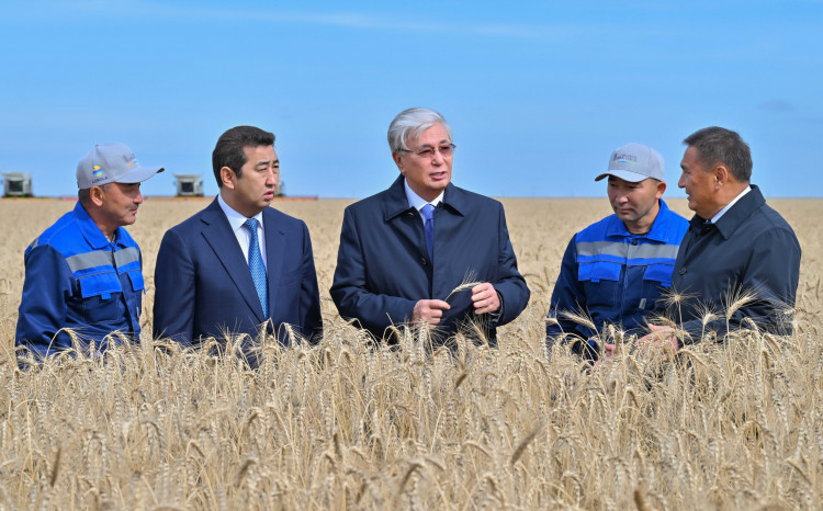 Экономикадағы  ауылшаруашылығының  үлесін арттыру керек