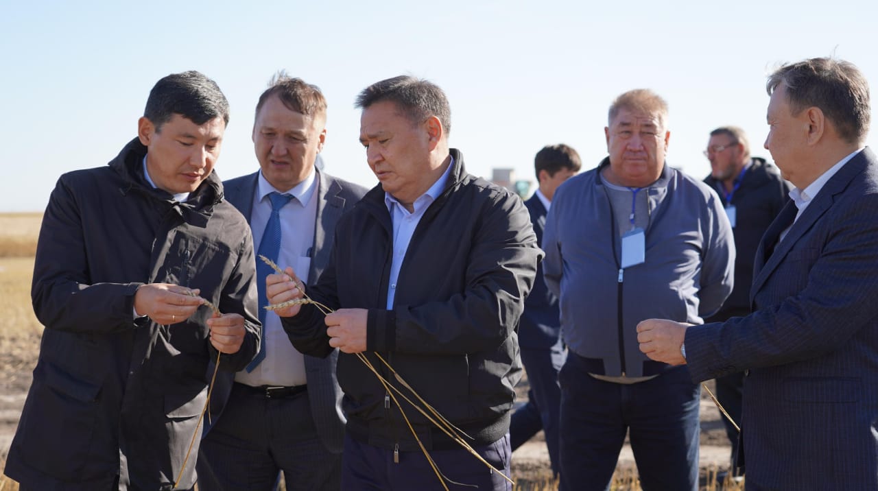 Диқандар еңбегі биыл да нәтижелі болмақ
