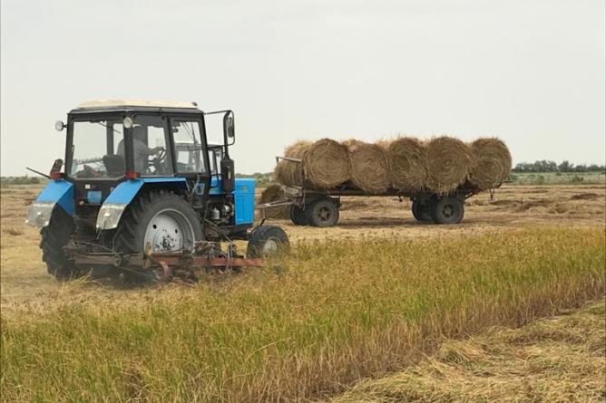 ҚР Ауыл шаруашылығы министрлігінің назарына.  ШАРУА ҚОЖАЛЫҚТАРЫНЫҢ МҮДДЕЛЕРІ ӘДІЛ ҚОРҒАЛСА ЕКЕН