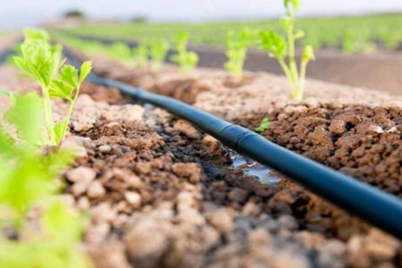 Мемлекеттік қолдау шараларының нәтижесінде су үнемдеу технологиялары пайдаланылатын егіс алқабының аумағы 86%-ға ұлғайды