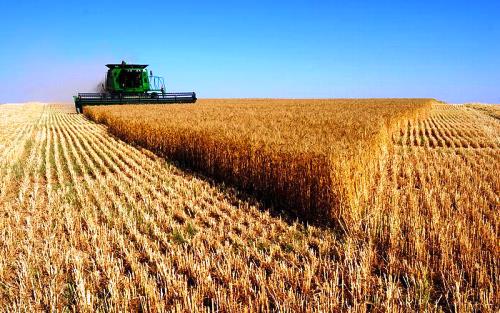 Астық жинау науқаны аяқталды