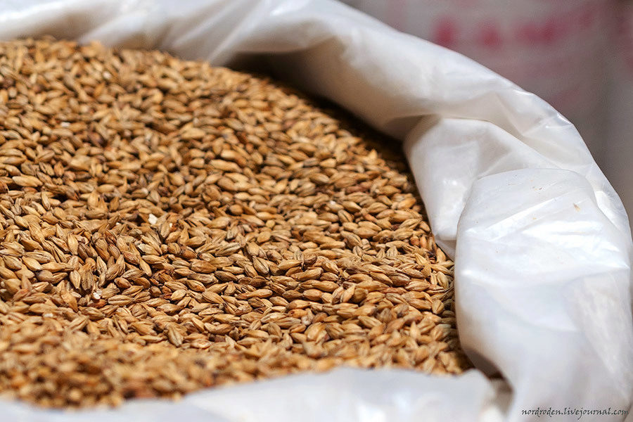 Биыл Қазақстан үшін астық өнімділігі бойынша рекордты жыл болды