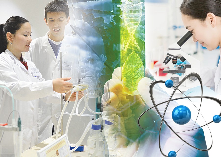 Президент ел жастарын ғылымға ұмтылуға үндеді