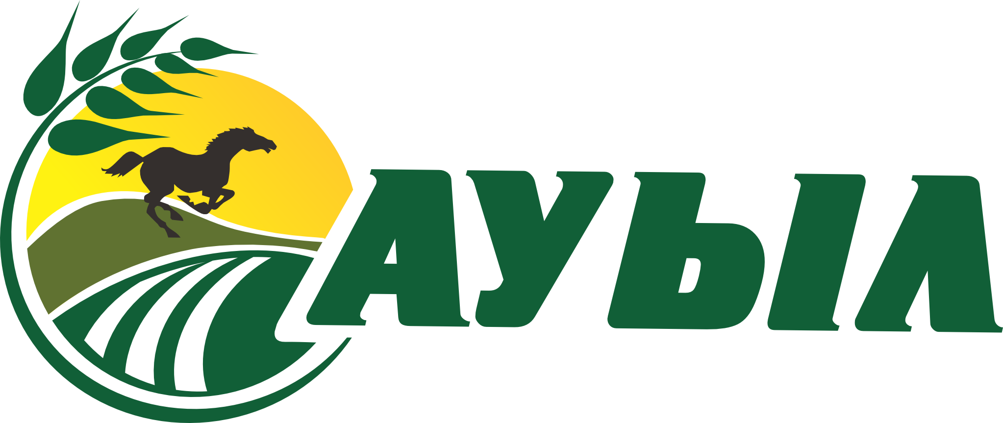 «Ауыл» партиясы өткізген салтанатты шара