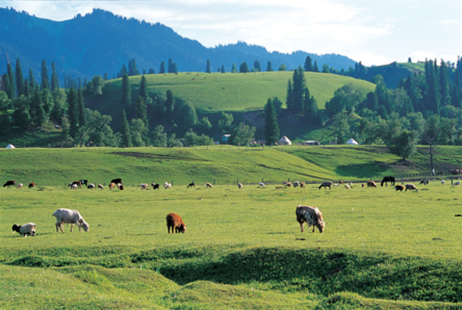 150 мың гектар жер мемлекет меншігіне қайтарылды