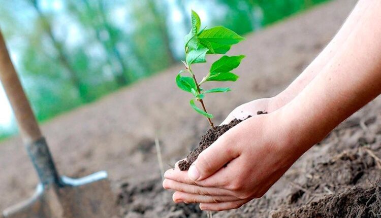  «Жасыл мектеп» экологиялық шарасы