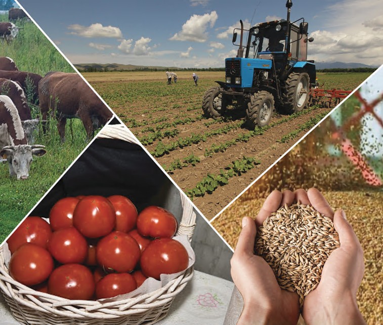 Ауыл шаруашылығын жаңғырту – елдің азық-түлік қауіпсіздігінің кепілі