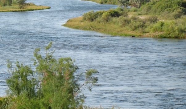 Мың түйе керуен