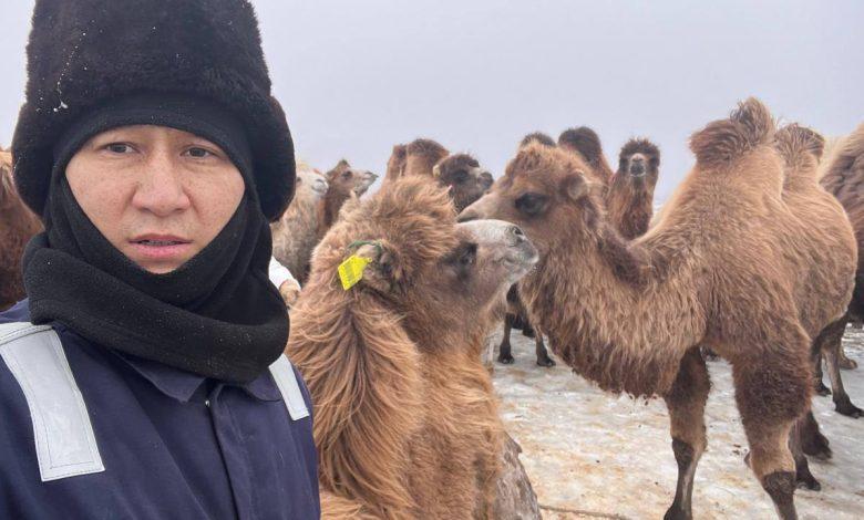 Шаруаға серпін берген жоба