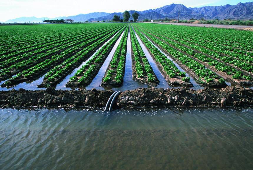 Сырдария өзені бассейнінде ауыл шаруашылығы дақылдарын суару режимдерін түзету мақсатында ауқымды зерттеу жүргізіліп жатыр