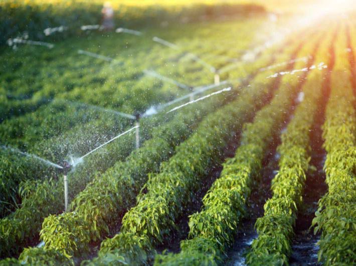 Тұтынушылардың құқығын бұзған суару суын жеткізушілерге 17,8 млн теңге айыппұл салынды