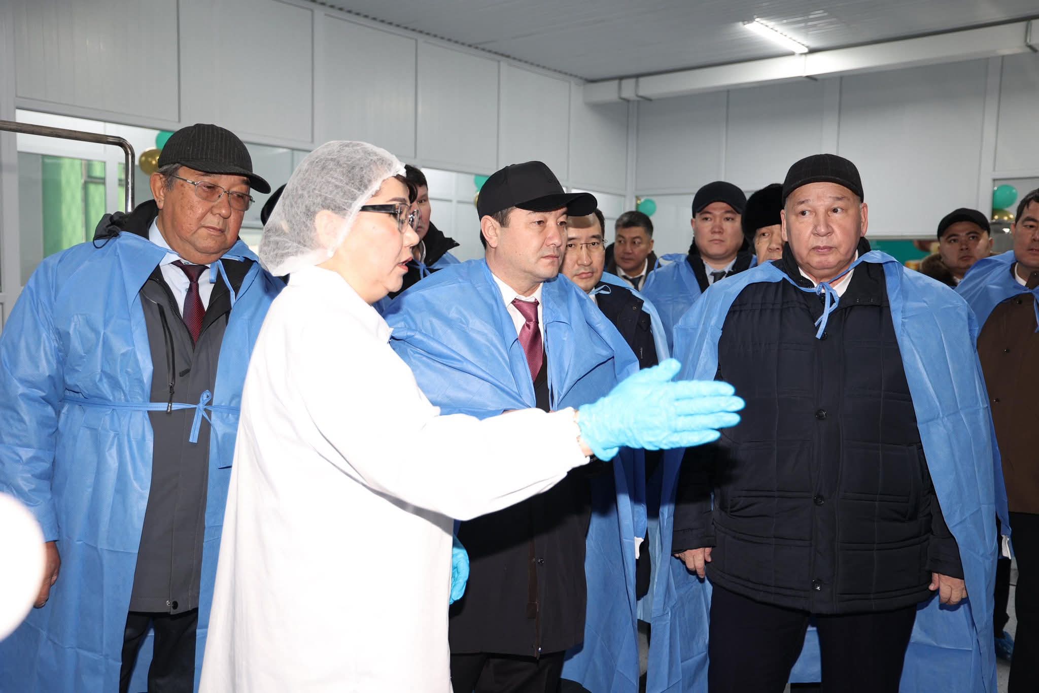 Жаңаөзен қаласында құрғақ түйе сүтін өндіретін цех ашылды