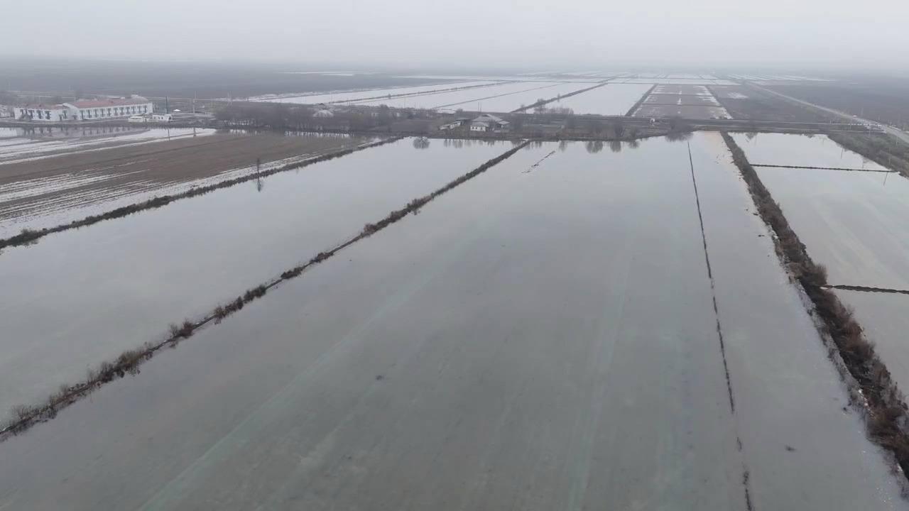 Түркістан облысында 100 мың гектардан астам суармалы жерге сор шаю жұмыстары жүргізіліп жатыр