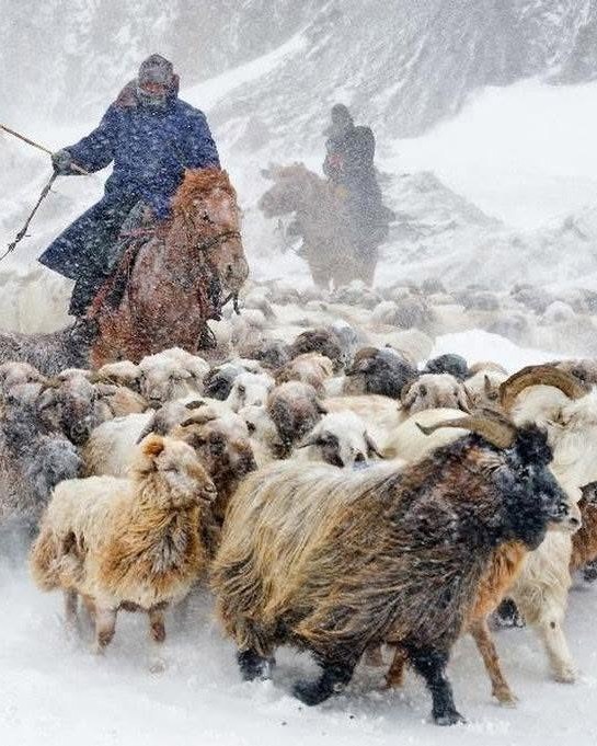 Қазақтың күн райын болжау тәсілі