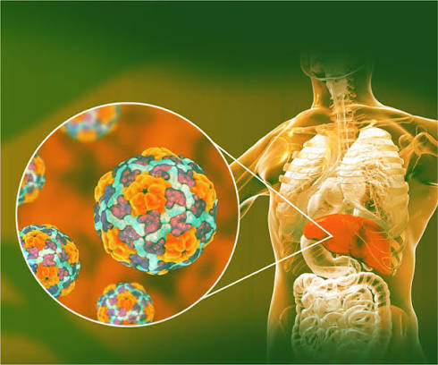 Вирусты гепатит А туралы нені білуіміз керек?