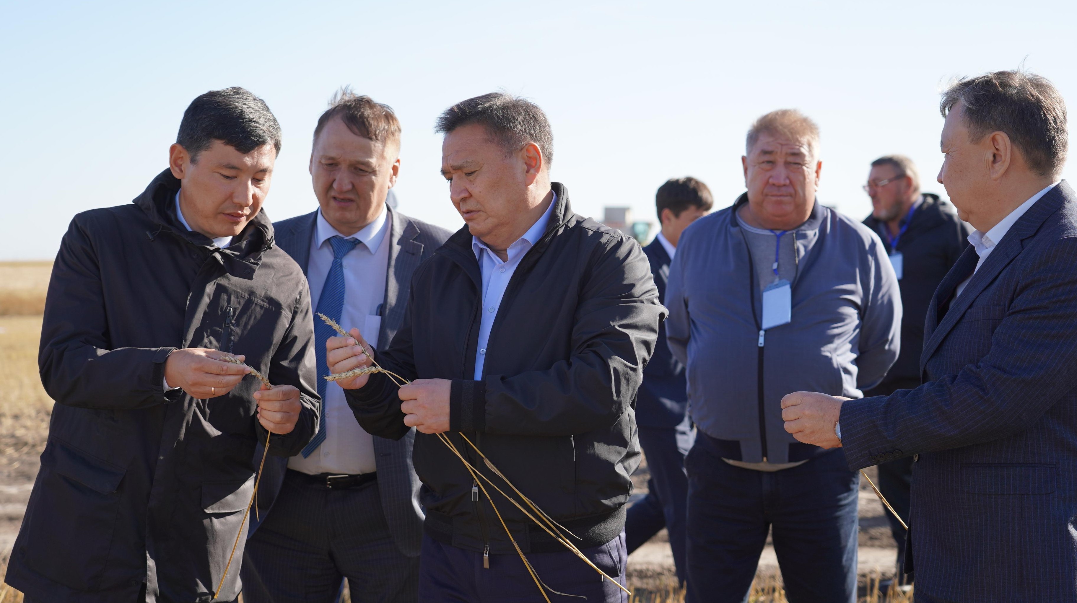 Егін жинауда  рекордтық  көрсеткіш...