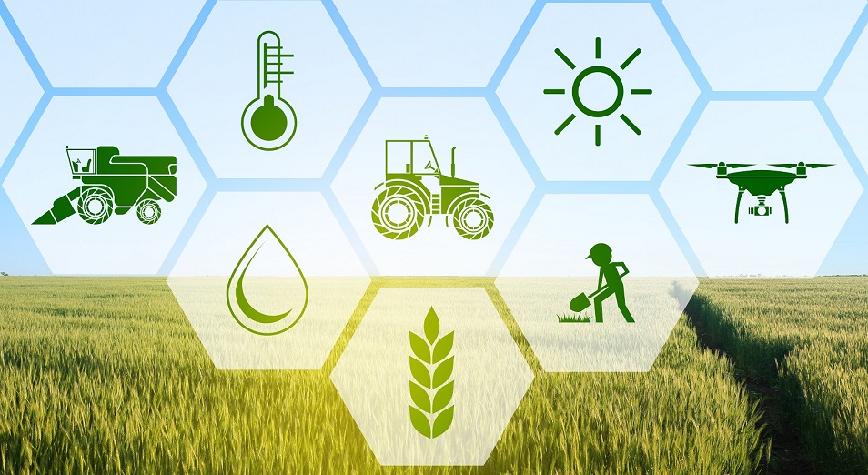 Агроөнеркәсіптік  кешенді дамыту жолдары