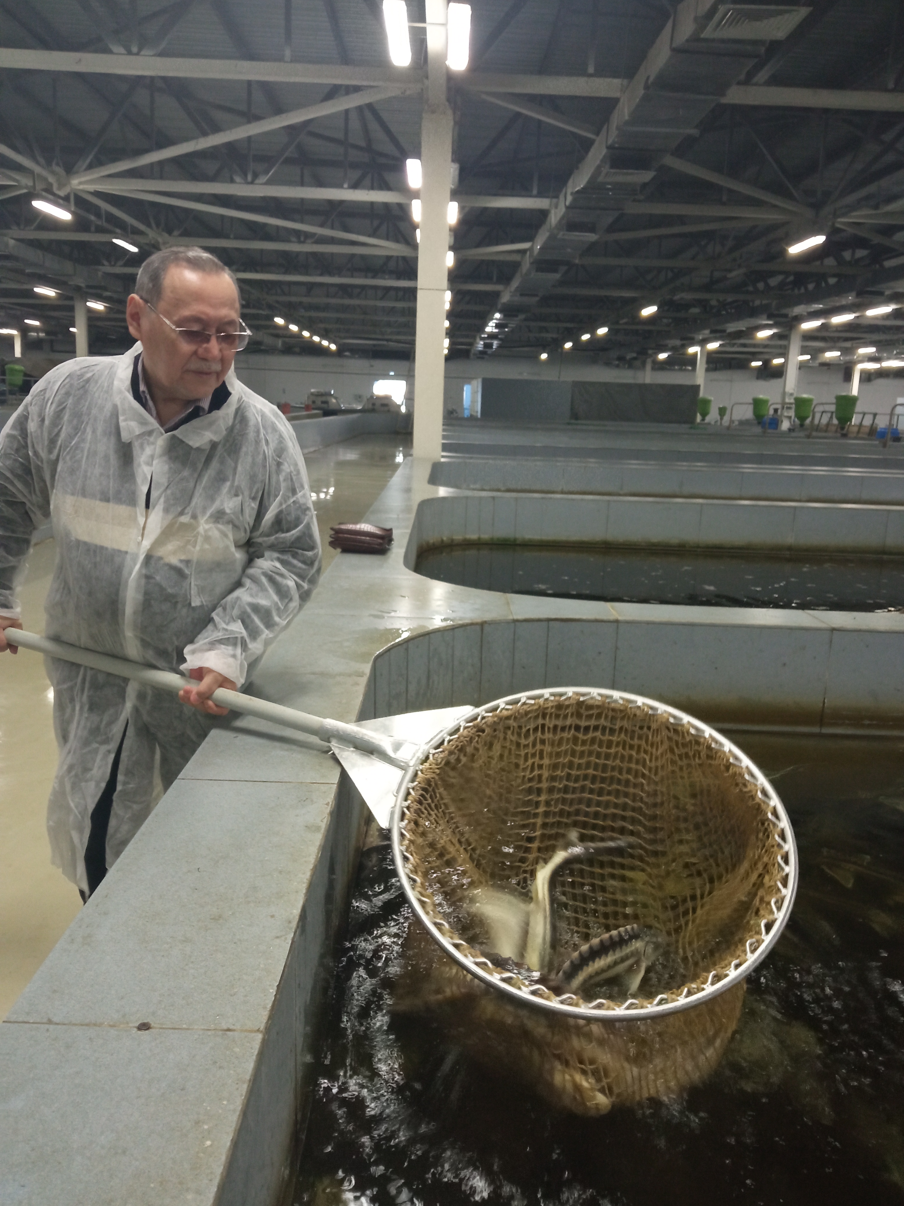 Агроөнеркәсіптік кешен:  даму, кадрлар және ғылым