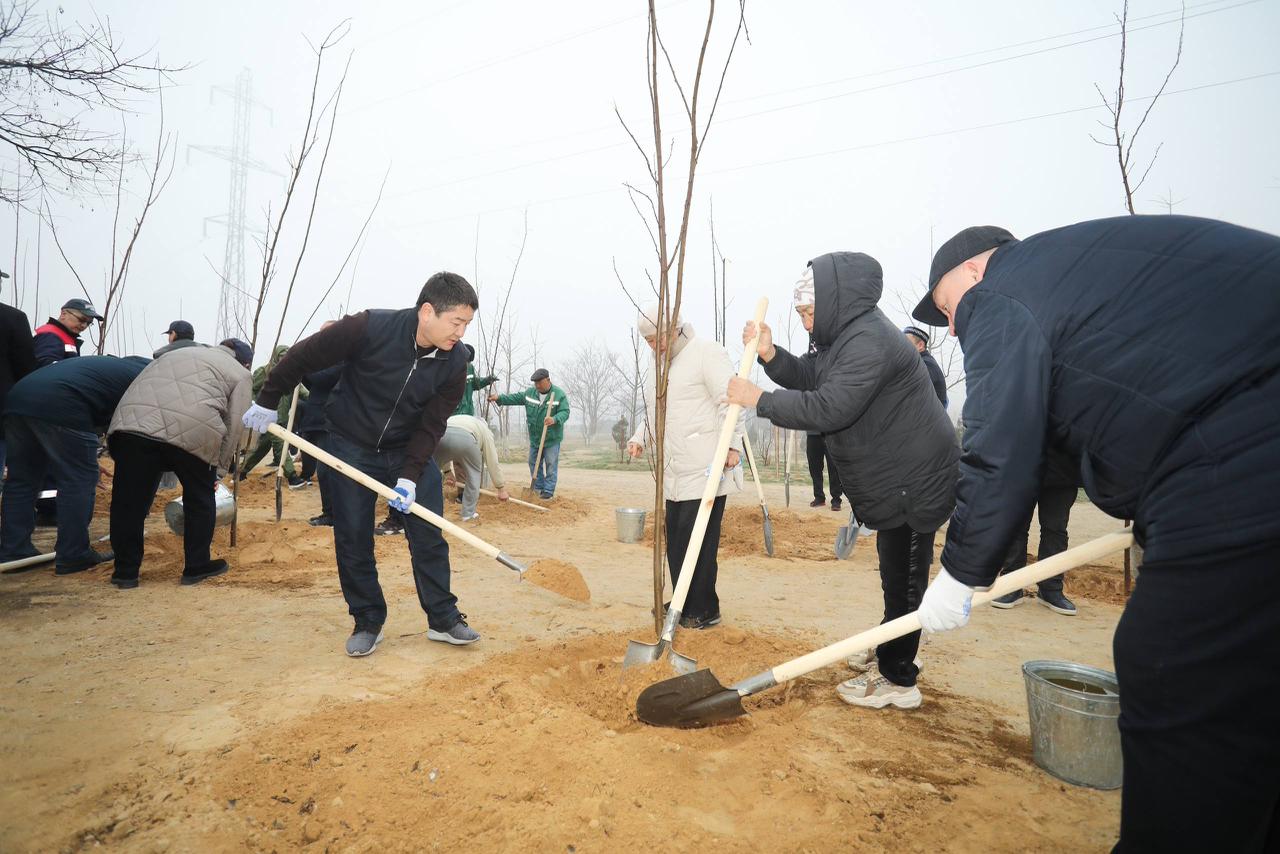 Маңғыстауда   «Таза Қазақстан»   экологиялық   акциясы жалғасуда